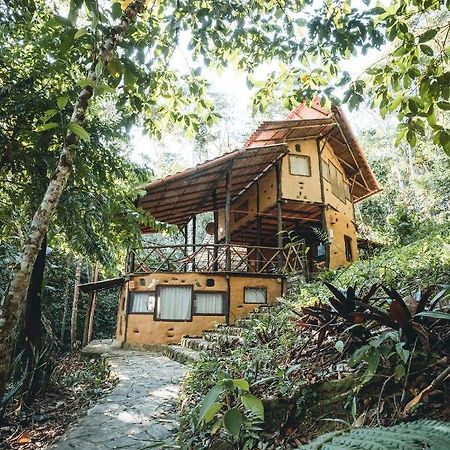 Chirapa Manta Amazon Lodge Lamas Dış mekan fotoğraf