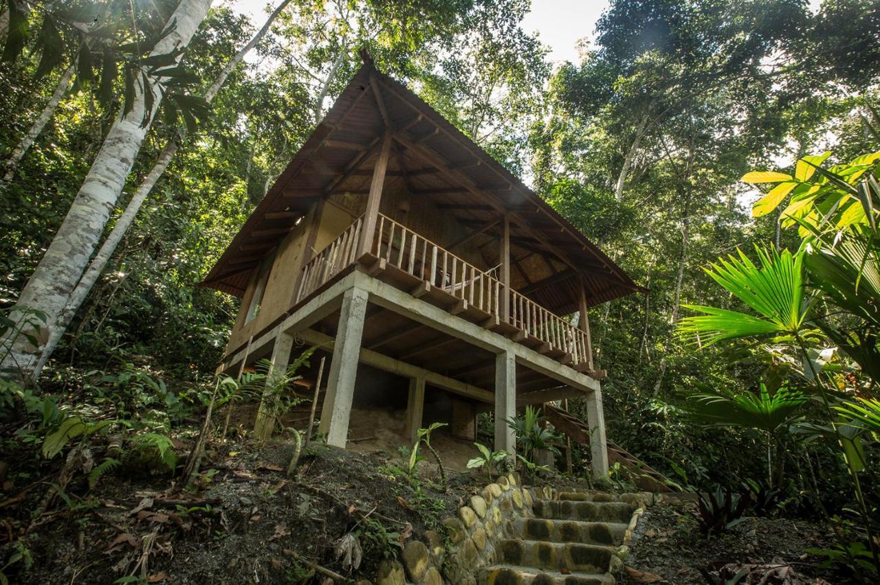 Chirapa Manta Amazon Lodge Lamas Dış mekan fotoğraf