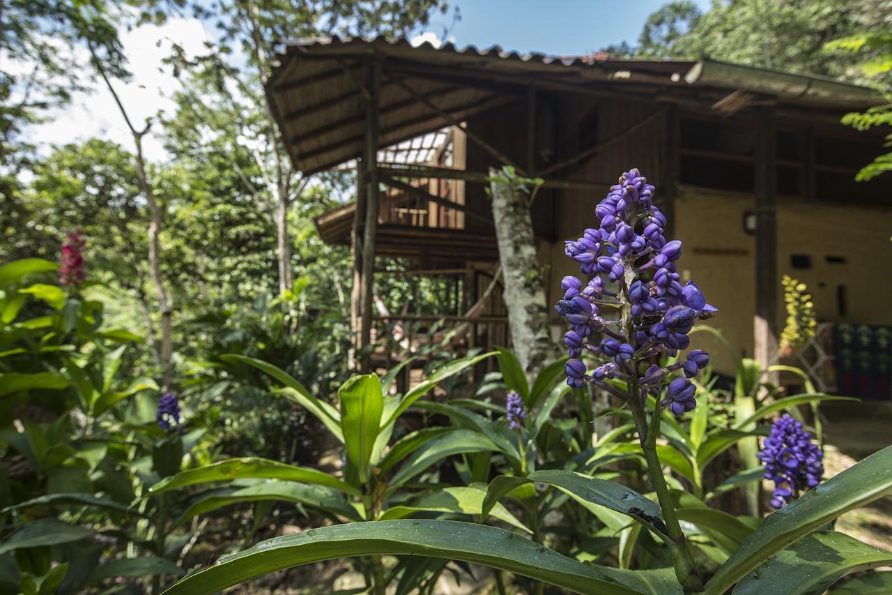 Chirapa Manta Amazon Lodge Lamas Dış mekan fotoğraf
