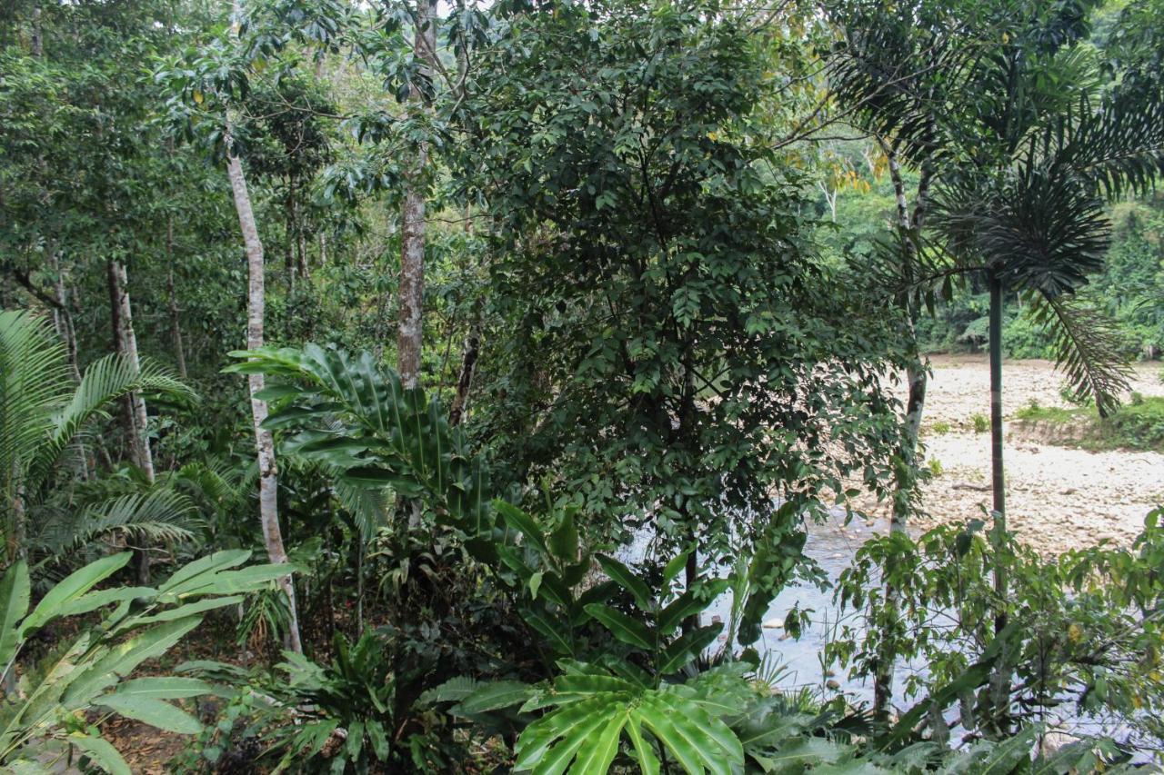 Chirapa Manta Amazon Lodge Lamas Dış mekan fotoğraf