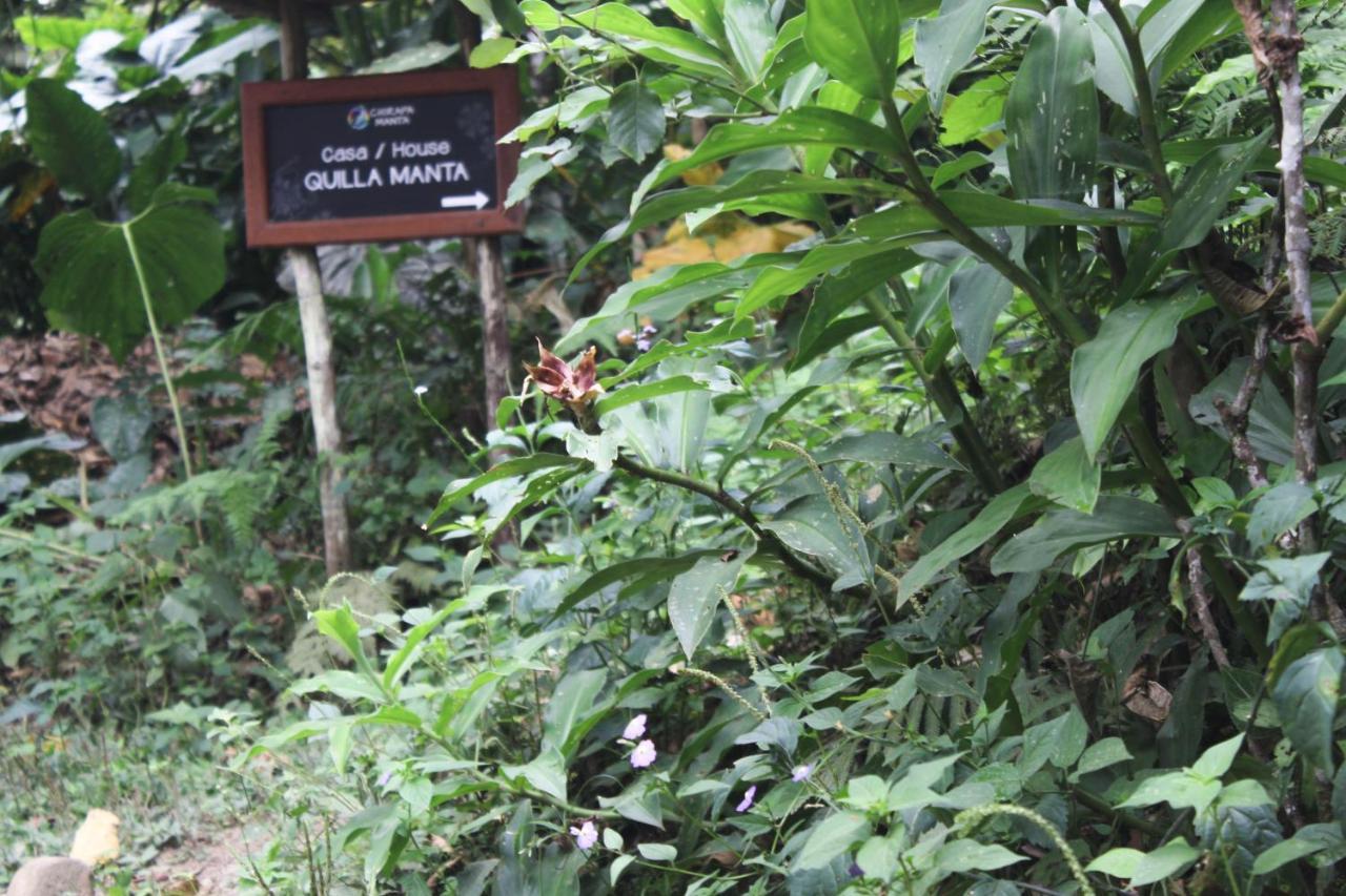 Chirapa Manta Amazon Lodge Lamas Dış mekan fotoğraf